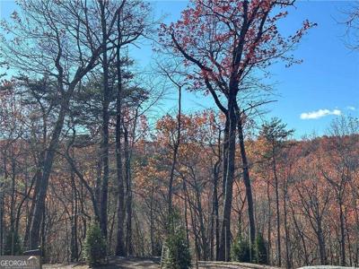 503 Saint Andrews Way, Ellijay GA 30536