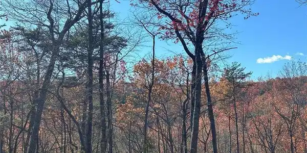 503 Saint Andrews Way, Ellijay GA 30536