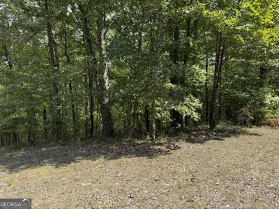 1417 Foxhound Trail NE, Ranger GA 30734