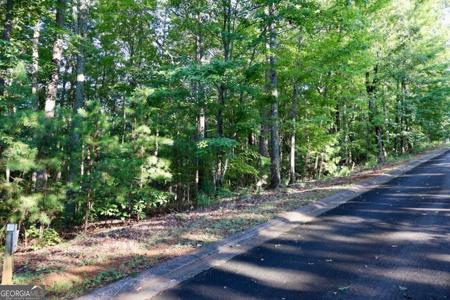 Lot 28 Saw Blade Lane, Ellijay GA 30540