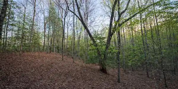 Lot 5 Riverbend Manor, Blue Ridge GA 30513