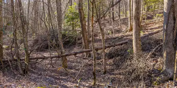 Satsuma South Court # 694, Ellijay GA 30540