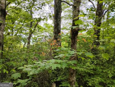 Lot 51 Bayberry Lane, Sky Valley GA 30537