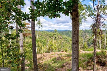 LT 930 Myna Drive, Ellijay GA 30540