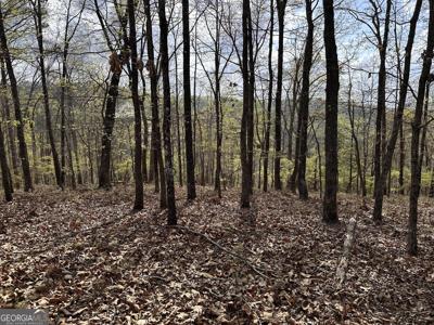 998 Blade Court, Ranger GA 30734