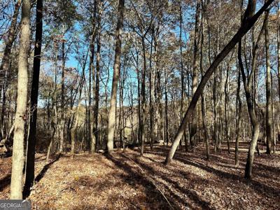 1 Mincey Acres Drive
