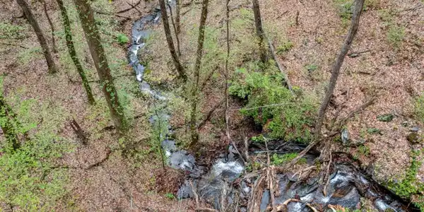 Lot 4527 Sassafras Mountain Trail, Jasper GA 30143