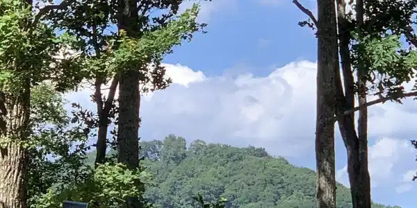2046 Amy Creek Circle # 34, Ellijay GA 30540