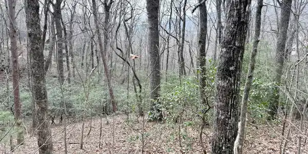 Lot 6 Monarch Lane, Clayton GA 30525