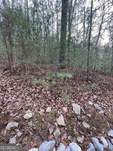 700 Kingwood Drive, Clayton GA 30525