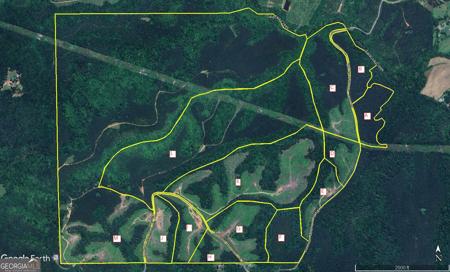Johnson Mountain Road # D, Rydal GA 30171