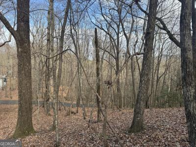 Lot 50, Sautee Nacoochee GA 30571 Geneva