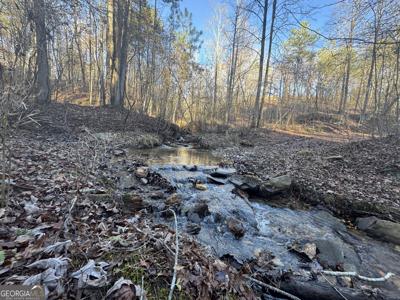 179 Vista Creek Drive, Talking Rock GA 30175