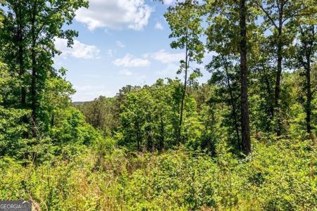 LT160 Shallow Water Trail, Talking Rock GA 30175