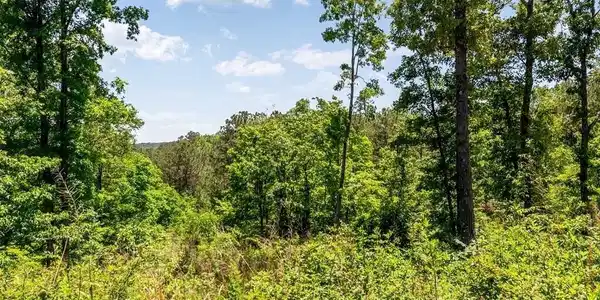 LT160 Shallow Water Trail, Talking Rock GA 30175
