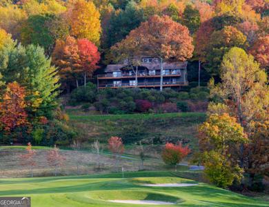 642 Ridgepole Drive, Sky Valley GA 30537