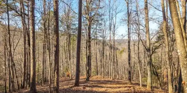 1665 Hunter Drive # 42, Talking Rock GA 30175