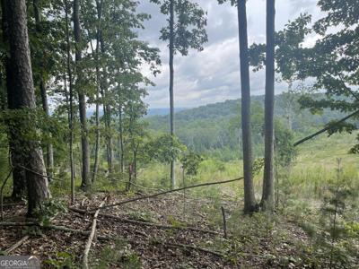 White Oak Road # 4, Summerville GA 30747