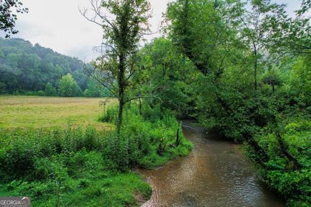 1055 New Liberty Trail, Ellijay GA 30536