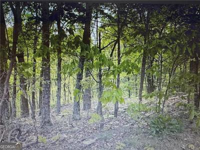 1358 Hunter Drive, Ranger GA 30734