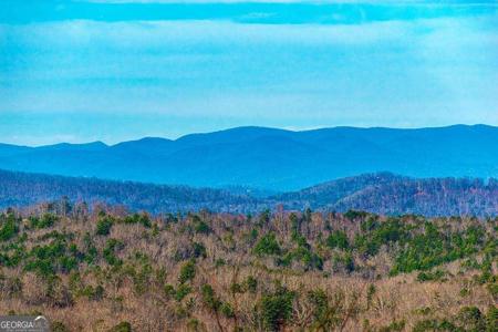 Lot 8 Scouts Overlook, Morganton GA 30560