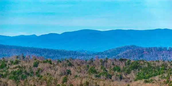 Lot 8 Scouts Overlook, Morganton GA 30560