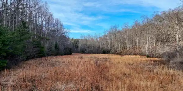 476 Rainbow Road, Suches GA 30572