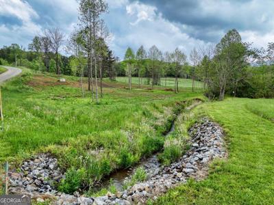 TRACT Shuler Road, Blairsville GA 30512