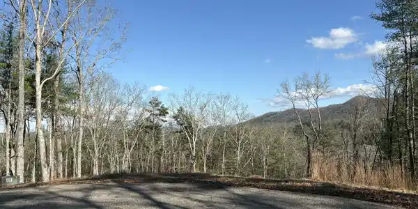 Lot 86 Lookout Ridge, Mineral Bluff GA 30559