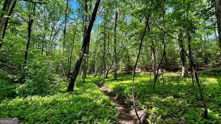 Lot 12 Frances Drive, Ellijay GA 30536