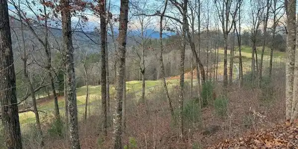 J35 Bent Grass, Clayton GA 30525