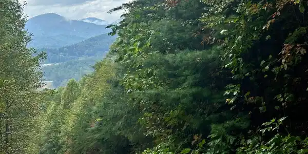 Lot 22 Shake Hollow Drive, Rabun Gap GA 30568