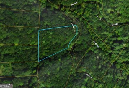 Lot #206 Dowel Circle, Ellijay GA 30540