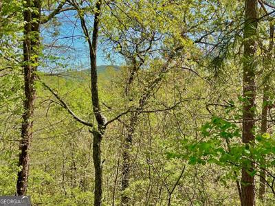 691 Railey Ridge Lane, Ranger GA 30734