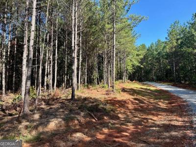 6 Patriot View Drive, Dahlonega GA 30533
