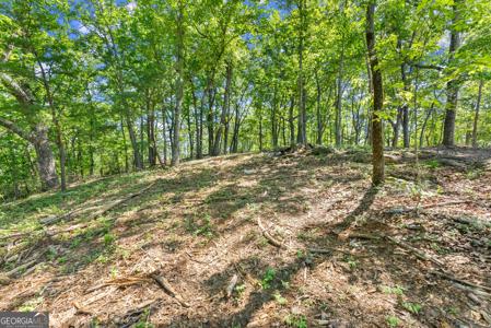 95 Chimney Oaks Trail, Cleveland GA 30528
