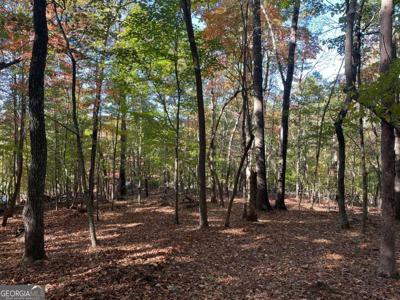 Lot 4 Covered Bridge Road, Blairsville GA 30512