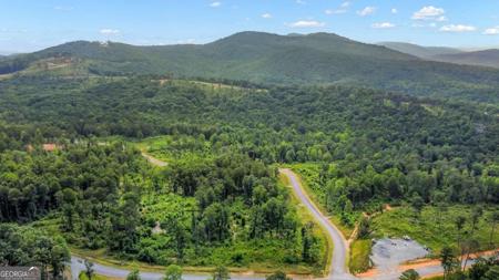Lot 128 Twisted Oak Road, Talking Rock GA 30175