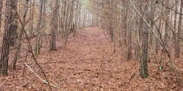 18.22 Talona Road, Ellijay GA 30540