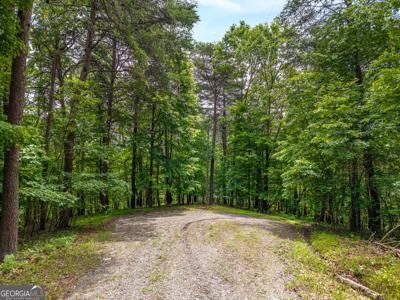 1331 Birch Lane NE, Ranger GA 30734