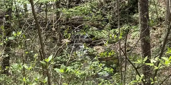 Lot 29P Laurel Branch, Dawsonville GA 30534