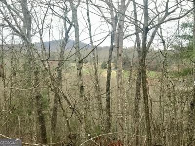 Lot 9 Sunrise Court, Blue Ridge GA 30513