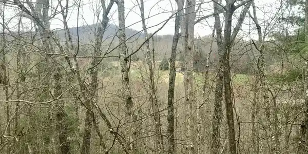 Lot 9 Sunrise Court, Blue Ridge GA 30513