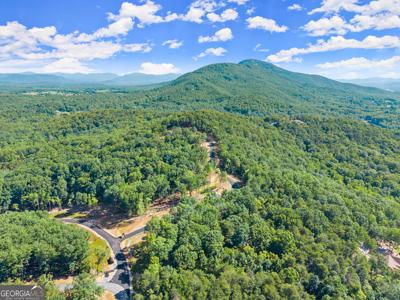 78 Chimney Oaks Trail, Cleveland GA 30528