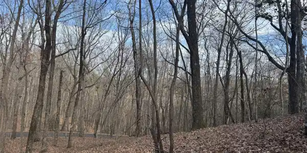Lot 47, Sautee Nacoochee GA 30571 Geneva Place