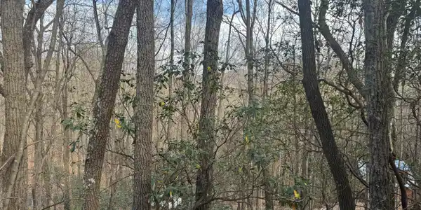Lot 51 Geneva Place, Sautee Nacoochee GA 30571