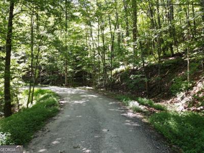 Bald Eagle Path, Cleveland GA 30528