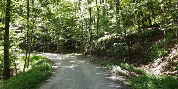Bald Eagle Path, Cleveland GA 30528