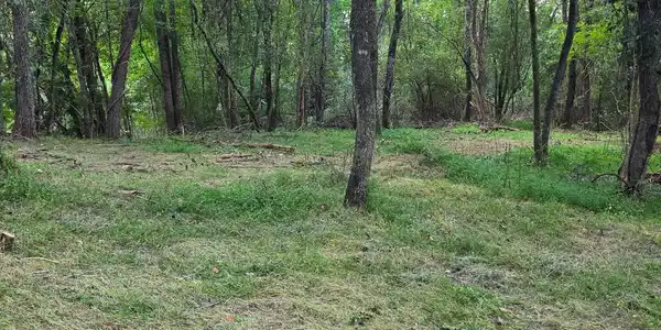 Lot 1 Thurman Street # 1, Mccaysville GA 30555