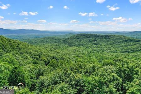 9-D Double Knob Road, Ellijay GA 30540
